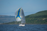 salamander xxii 3361c whyw17 wed gjmc 7685